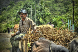 Asumen obras de protección ambiental en Plan Turquino de Holguín