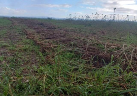 Considerables afectaciones en los polos productivos sanluiseros luego del paso del huracán Melissa