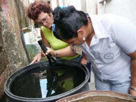 Autoridades de Salud Pública declaran al municipio Songo-La Maya en transmisión de dengue