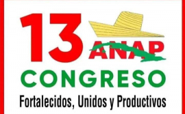 Cooperativistas de la Sabino Pupo se preparan camino al XIII Congreso de la ANAP