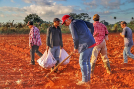 Como el Che, siempre hay espacio para el trabajo voluntario