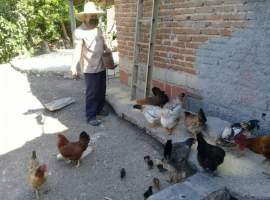 Campesinos participan en variadas actividades por el 17 de Mayo