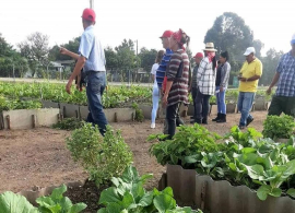 En busca de alternativas para que los alimentos lleguen a la mesa del santiaguero