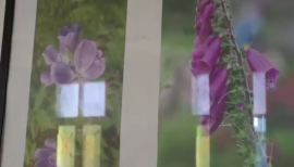 Expone fotógrafo alemán en Songo–La Maya (+Video)