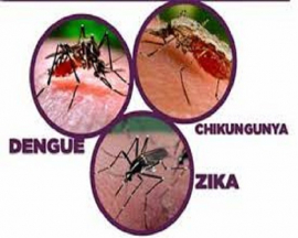 Se mantiene el alza de casos sospechosos de dengue y de Oropouche