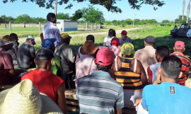 Sangre joven cultivando la tierra