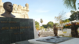 Tributo al León de Oriente