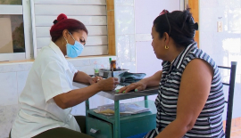 Vigilancia sobre los arbovirus del dengue y el Oropouche