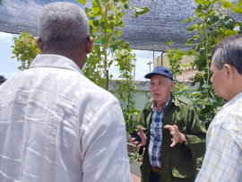 Queipo Ruiz sostiene intercambio con economistas y agricultores urbanos