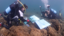 Arte bajo las olas en Bacoli: Un puente del Mediterráneo al Caribe