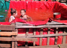 Un verano con ingenio