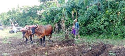 A producir más alimentos aspira estructura cooperativa sanluisera