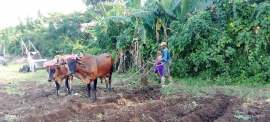 A producir más alimentos aspira estructura cooperativa sanluisera