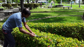 El jardinero de  El Uvero