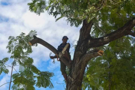 No solo informados, también proactivos