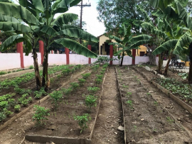 Cultivando sonrisas