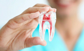 Instan a una mayor protección de la salud bucodental