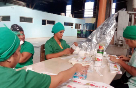 Tropical Contramaestre S. A., sostenibilidad y eficiencia