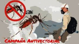 Intensifican acciones contra el mosquito Aedes Aegypti en San Luis