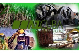 Grupo azucarero Azcuba por intensificar siembra de caña